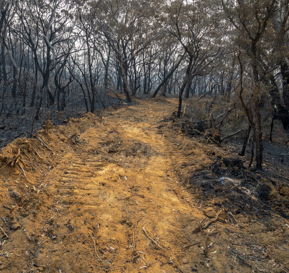 clearing-burned-property-GettyImages-1198552629