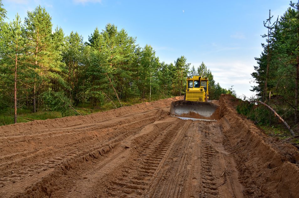 leveling-cleared-ground-GettyImages-1278933842 Overholt Grading leveling cleared ground surrounded by trees